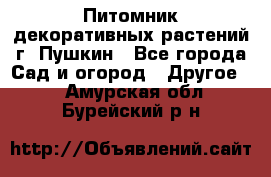 Питомник декоративных растений г. Пушкин - Все города Сад и огород » Другое   . Амурская обл.,Бурейский р-н